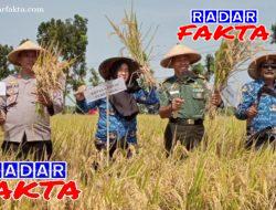 Temu Lapang Budidaya Padi Sehat di Kecamatan Gondang – Nganjuk