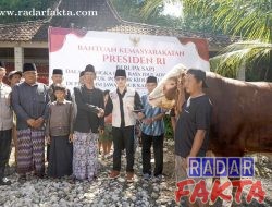 Bupati Trenggalek Serahkan Sapi Kurban Hampir 1,1 Ton Bantuan Presiden Prabowo
