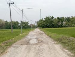 Jalan Rusak Ditanami Pohon Pisang, Kades Genjor: “Sudah Masuk Anggaran 2026, Mohon Bersabar”