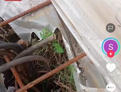 Gempar! Video Proyek Jalan Desa Kemiri Menjelaskan Pekerjaan Asal-Asalan