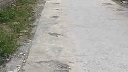 Proyek Jalan Rigid Desa Bulu Diduga mangkrak,Baru 15 Persen, Warga Pertanyakan Pagu Rp2,17 Miliar