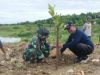 Cegah Erosi dan Longsor, Warga Kedung Sumber Tanam 1.000 Pohon di Kawasan Waduk Pacal