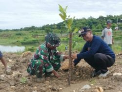 Cegah Erosi dan Longsor, Warga Kedung Sumber Tanam 1.000 Pohon di Kawasan Waduk Pacal