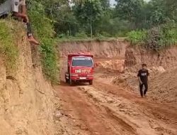 Bupati Lindra Didesak Bertindak Tegas terkait dugaan oknum ASN kelola tambang ilegal