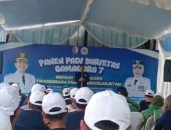 Wujudkan Swasembada Pangan, Bupati Setyo Wahono Hadiri Panen Raya Padi Gamagora 7 di Bayemgede