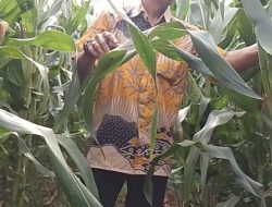 Lebaran Usai, Petani Muda Bojonegoro Kembali “Berpelukan” dengan Tanah Hutan