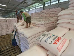 Petani di Sidomulyo Bojonegoro Mengeluh, Harga Pupuk Subsidi Lebihi HET