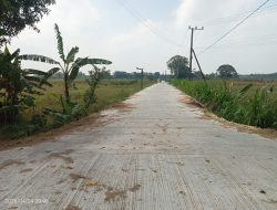 Dongkrak Ekonomi Desa, Jalan BKKD di Sekaran Balen Jadi Primadona Petani Lokal
