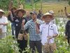 Kurangi ketergantungan pupuk pabrikan, petani hutan Bandungrejo Ngasem panen hasil budidaya pertanian organik hortikultura