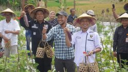Kurangi ketergantungan pupuk pabrikan, petani hutan Bandungrejo Ngasem panen hasil budidaya pertanian organik hortikultura