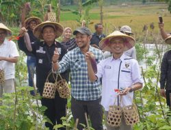Kurangi ketergantungan pupuk pabrikan, petani hutan Bandungrejo Ngasem panen hasil budidaya pertanian organik hortikultura