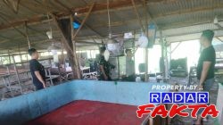 Judi Sabung Ayam di Kedungpring Masih Beroperasi Dan Diduga Dibekingi Oknum TNI