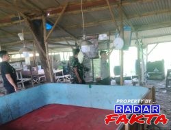 Judi Sabung Ayam di Kedungpring Masih Beroperasi Dan Diduga Dibekingi Oknum TNI