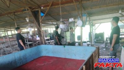 Judi Sabung Ayam di Kedungpring Masih Beroperasi Dan Diduga Dibekingi Oknum TNI