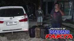 Polres Blora Gagalkan Pencurian 400 Liter Minyak Mentah di Sambong, Satu Pelaku Ditangkap Dua Buron