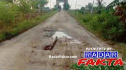 Bak Kubangan Kerbau, Jalan Poros Balongcabe–Telogohaji Bojonegoro Dikeluhkan Warga
