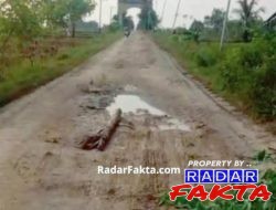 Bak Kubangan Kerbau, Jalan Poros Balongcabe–Telogohaji Bojonegoro Dikeluhkan Warga
