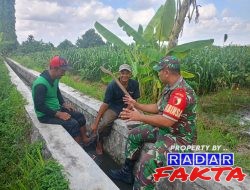 Serap Aspirasi Petani, Sertu Yudhi Rimba Gelar Komsos Ketahanan Pangan Bersama Poktan Kembang Kuning