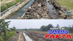 Langgar Aturan, Proyek Dinas PU SDA Bojonegoro di Desa Ngumpakdalem Diduga Abaikan UU KIP dan Perpres