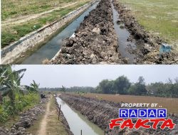 Langgar Aturan, Proyek Dinas PU SDA Bojonegoro di Desa Ngumpakdalem Diduga Abaikan UU KIP dan Perpres