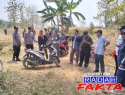 LANGKAH TEGAS WABUP BOJONEGORO! Tambang Tanah Urug “Kucing-Kucingan” Kembali Disegel dan Dihentikan!