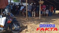 Aktivitas Sabung Ayam Kembali Marak di Bojonegoro, Warga Dander Minta Aparat Bertindak Tegas
