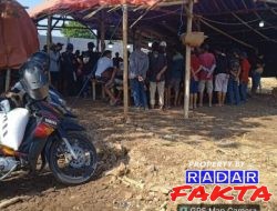 Aktivitas Sabung Ayam Kembali Marak di Bojonegoro, Warga Dander Minta Aparat Bertindak Tegas