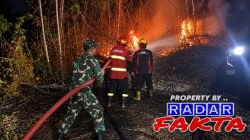 Dinas Pemadam Kebakaran Kabupaten Madiun Jinakkan Kobaran Api Di Wilayah Balerejo