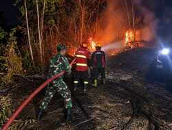 Dinas Pemadam Kebakaran Kabupaten Madiun Jinakkan Kobaran Api Di Wilayah Balerejo