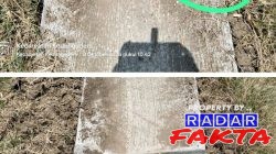 Proyek JUT Desa Duwel Kedungadem Amburadul, Baru Seumur Jagung Sudah Retak dan Dikeluhkan Petani