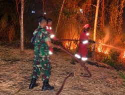 TNI dan Damkar Bergerak Cepat Padamkan Kebakaran di Mruwak