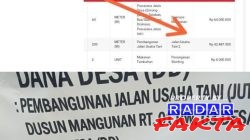 Transparansi Pemdes Duwel Dipertanyakan: Anggaran JUT di Lapangan dan Sistem KPK Berbeda Belasan Juta