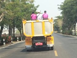 Abaikan Keselamatan Kerja, Tiga Pekerja DLH Bojonegoro Tertangkap Kamera Numpang di Atas Bak Truk